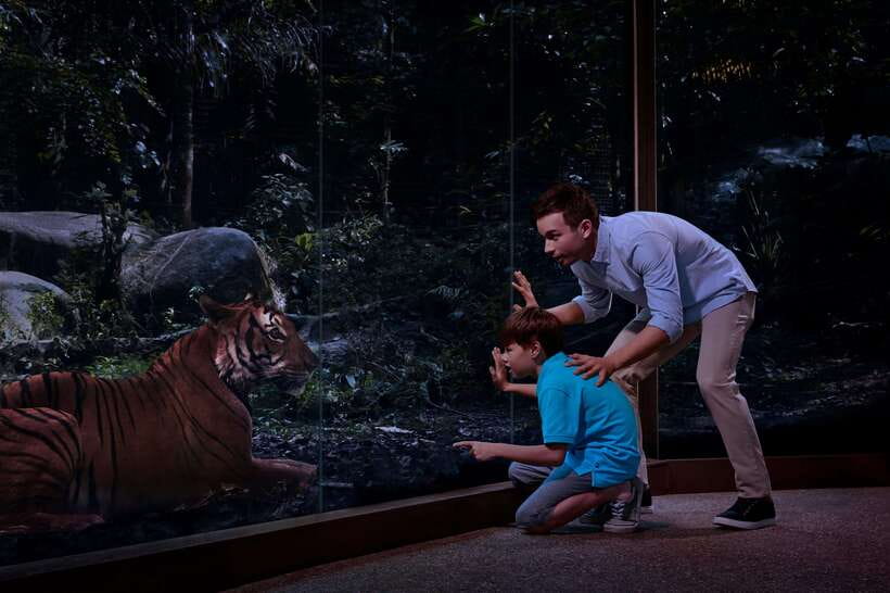 Singapore: Night Safari Singapore Entry Ticket + Tram Ride - Creatures of the Night is worth fitting into your evening