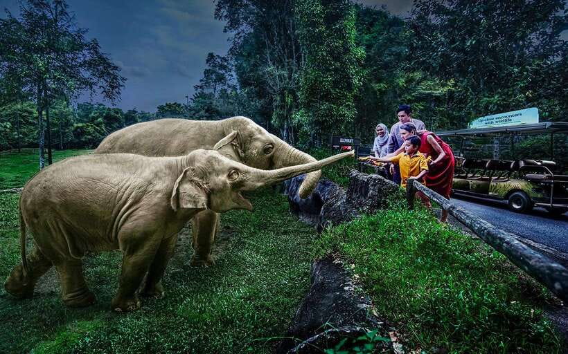 Singapore: Night Safari Singapore Entry Ticket + Tram Ride - Start with the tram through six world zones