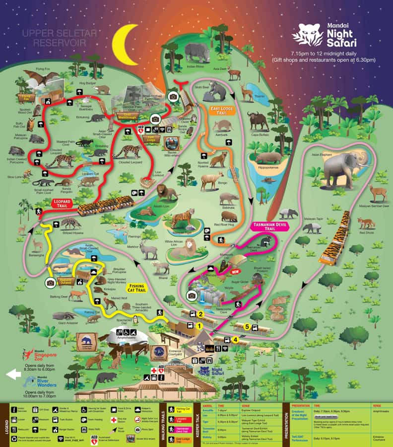 Singapore: Night Safari with Tram Ride and Private Transfer - Dinner and the fixed return schedule