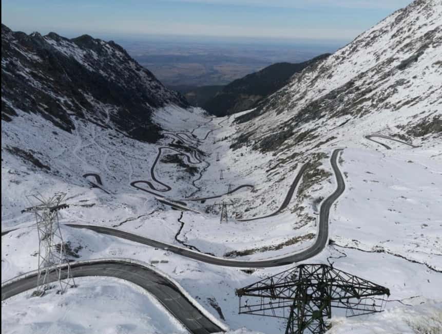 Small group Bears 'Safari' on Transfăgărășan -max 7 tourists - A bear safari with a spectacular road attached