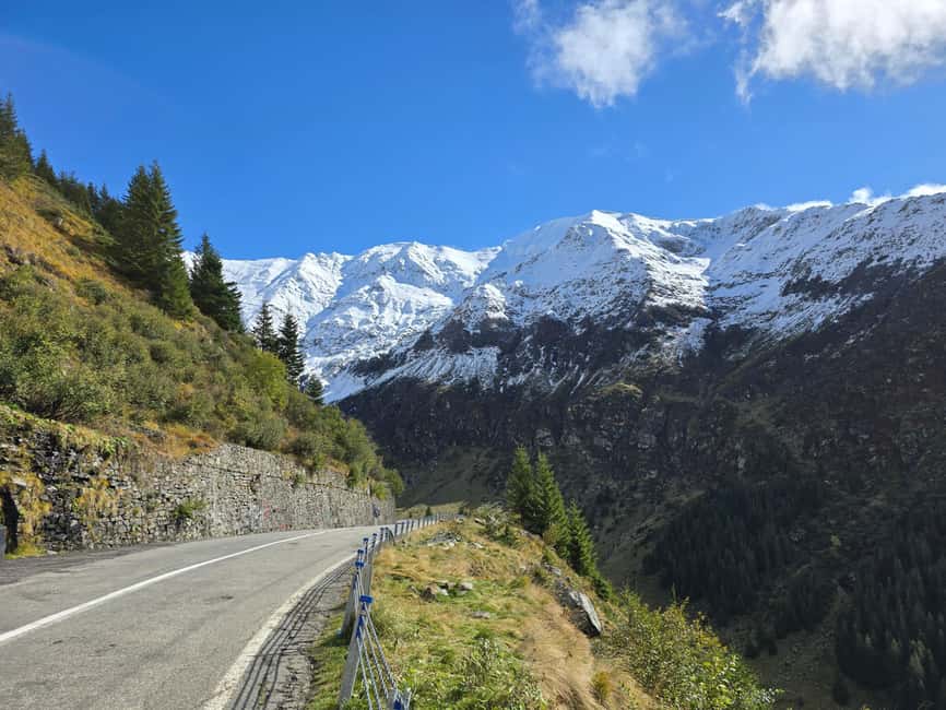 Small group Bears 'Safari' on Transfăgărășan -max 7 tourists - Watching the roadside for wild bears