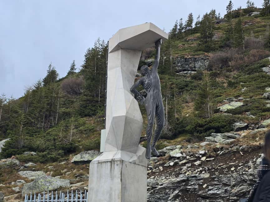 Small group Bears 'Safari' on Transfăgărășan -max 7 tourists - What the small group changes