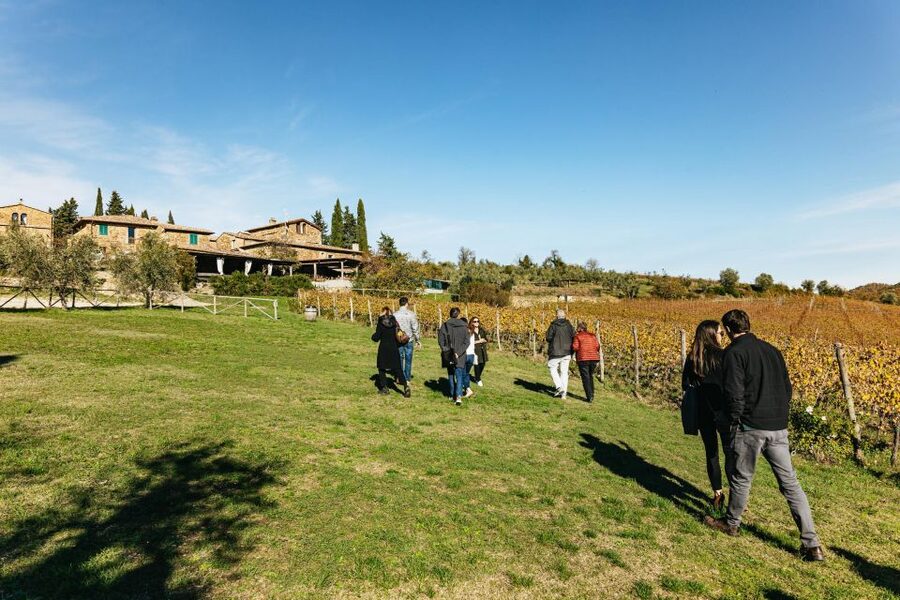 SMALL GROUP Tuscany Wine Tasting Safaris with Lunch / Dinner - How small is the group?