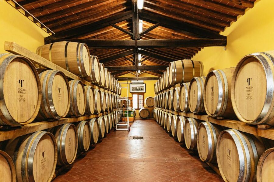 SMALL GROUP Tuscany Wine Tasting Safaris with Lunch / Dinner - What the $153 price really includes