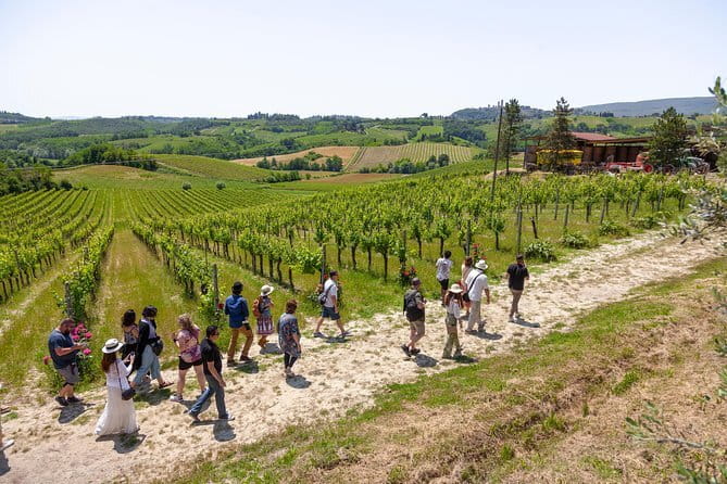SMALL-GROUP Wine Safaris: Tuscan Wine Tasting Tours from Florence - The Val d’Orcia day for Brunello and Vino Nobile