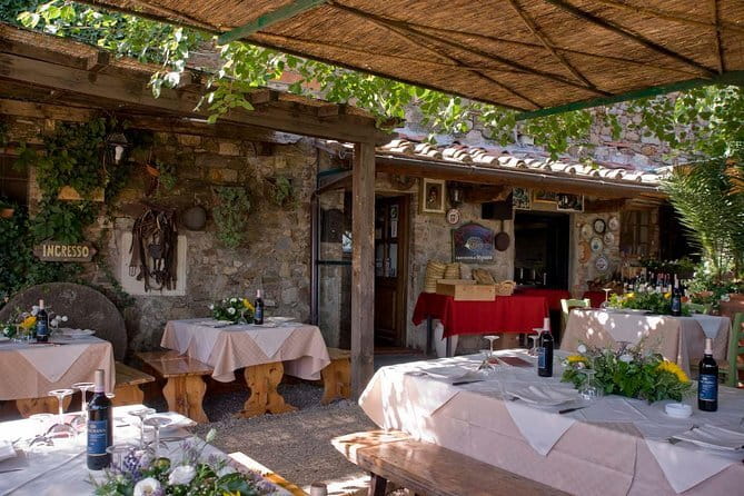SMALL-GROUP Wine Safaris: Tuscan Wine Tasting Tours from Florence - Choosing between Chianti and Val d’Orcia