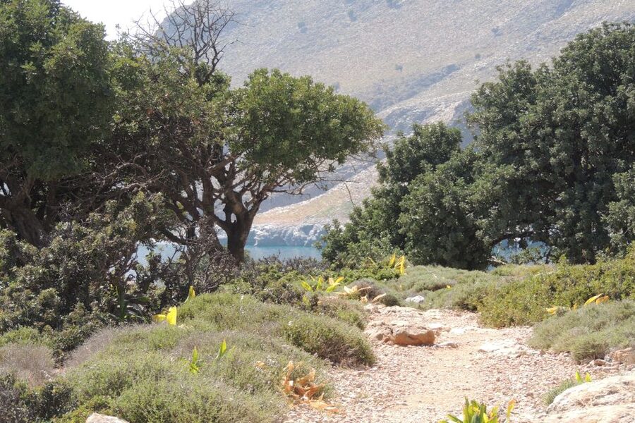 South Crete: Sarakinas Gorge Hike, Swim & Jeep Safari - Kritsa: 30 minutes in a traditional Cretan village