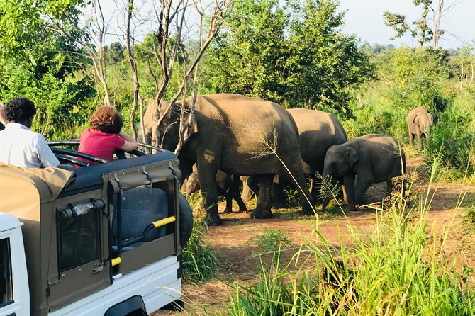 Sri Lanka Wild Life Uniqe Safari 26 - The jeep ride and your viewing position