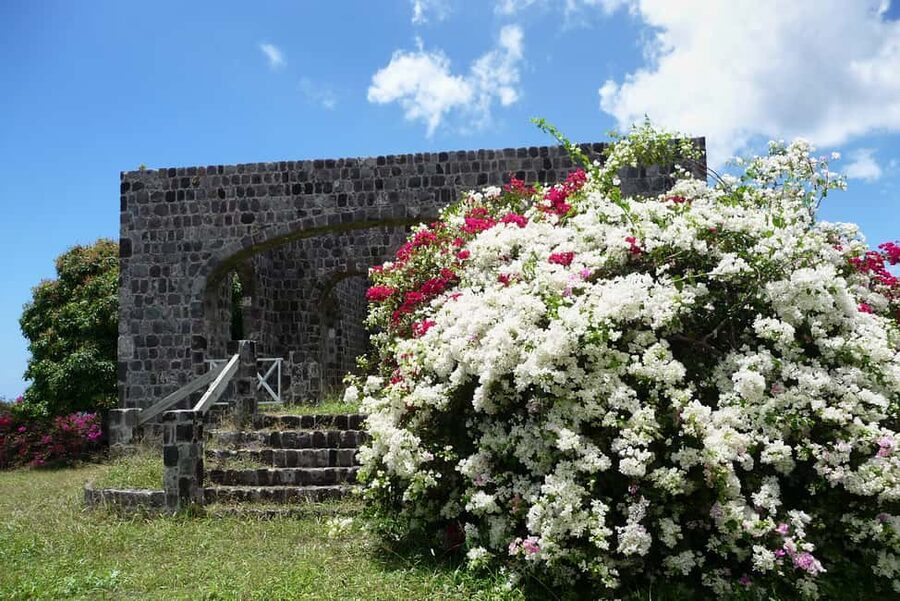 St. Kitts: Top Sights Guided Van or Open-Air Safari Tour - Why this short St. Kitts tour works