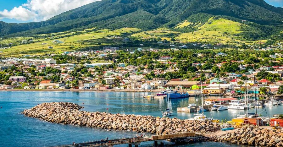 St. Kitts: Top Sights Guided Van or Open-Air Safari Tour - Walking through Romney Manor’s botanical gardens
