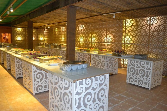 Standard Desert Safari, camel ride, BBQ Dinner, Belly Dance Show, Pick & Drop - A short camel ride, not a desert trek