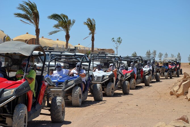 Stargazing Safari Adventure by Jeep with Bedouin Dinner-Hurghada - What makes this five-hour desert evening special