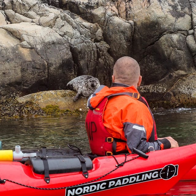 Stavanger: Lysefjord Kayak Safari (Waterfalls & Pulpit Rock) - Vagabond’s Cave and the waterfalls