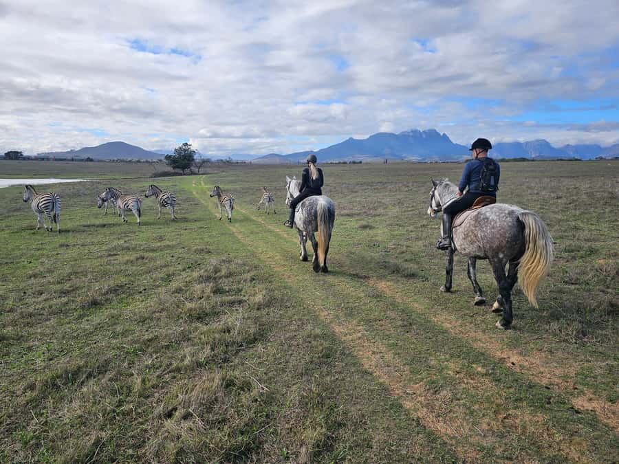 Stellenbosch: Horse Riding Wildlife Safari - A wildlife ride 12km from Stellenbosch