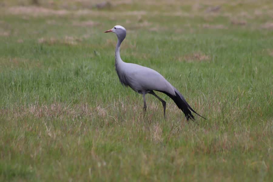 Stellenbosch: Horse Riding Wildlife Safari - Finding the meeting point