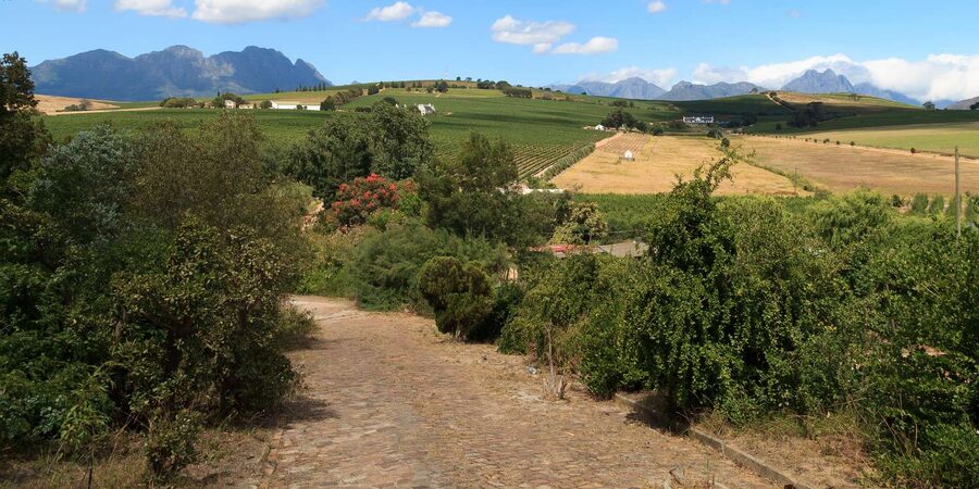 Stellenbosch North Guided Wine Safari (Tastings Excluded) - Timing and the lunch problem