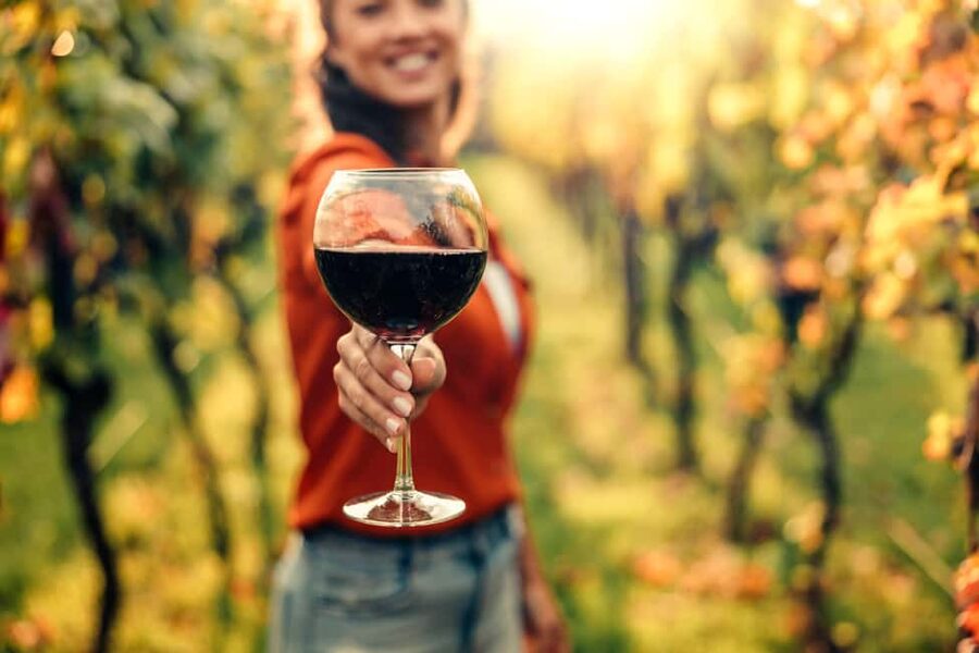 Stellenbosch North Guided Wine Safari (Tastings Excluded) - Who will enjoy this wine safari?