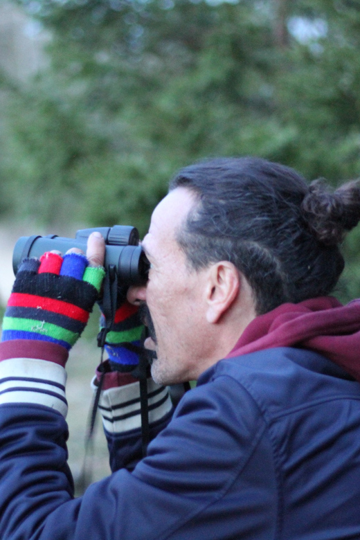 Stockholm: Wildlife Safari - Binoculars, torchlight, and the search for moose
