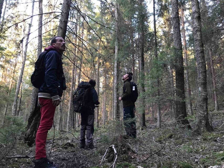 Stockholm: Wildlife Safari - A campfire dinner makes the cold worthwhile