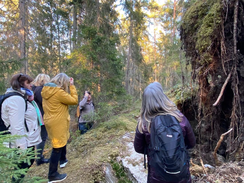 Stockholm: Wildlife Safari - The guides shape the quality of the outing