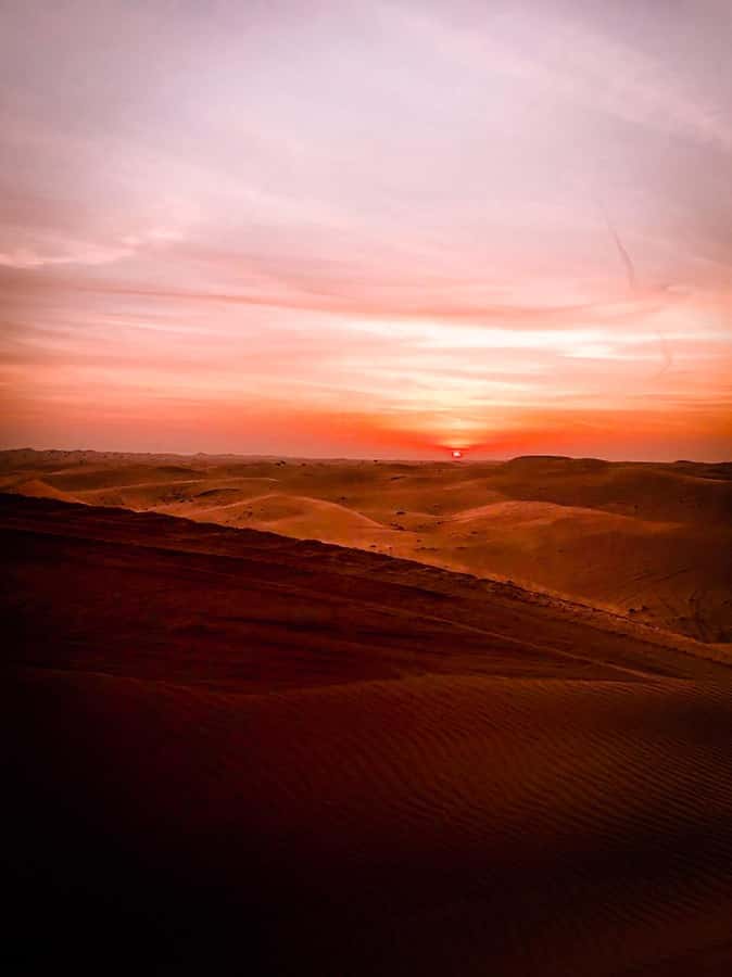 Sunrise Desert Safari - Abu Dhabi - Key points at a glance