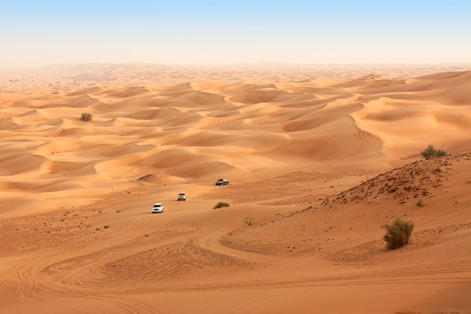 Sunrise Desert Safari from Abu Dhabi - Sunrise Sets the Pace