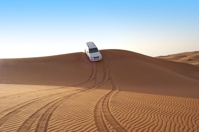 Sunrise Desert Safari from Abu Dhabi - What the $49 Price Really Covers