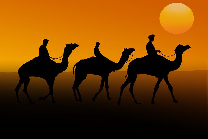 Sunrise Desert Safari from Abu Dhabi - The 4x4 Ride Across the Dunes