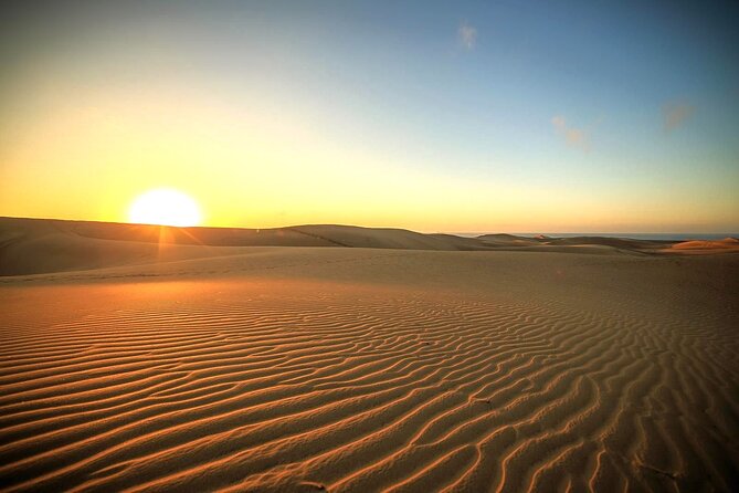 Sunrise Desert Safari in Qatar: An Unforgettable Adventure - From Doha to Mesaieed and Sealine Beach