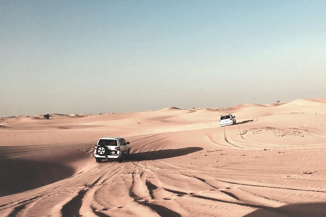Sunrise Desert Safari in Qatar: An Unforgettable Adventure - Who will enjoy this morning most?