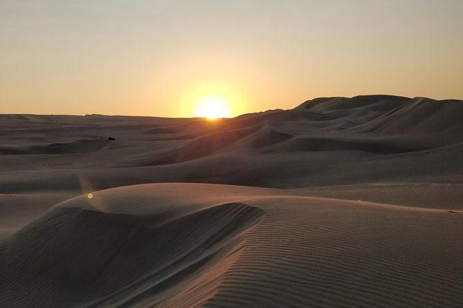 Sunrise Desert Safari in Qatar: An Unforgettable Adventure - Dune bashing across Qatar’s golden sand