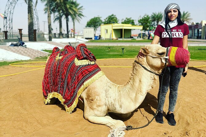 Sunset Desert safari with Camel Ride Sand Board & BBQ Dinner - Henna, sheesha, and four live shows