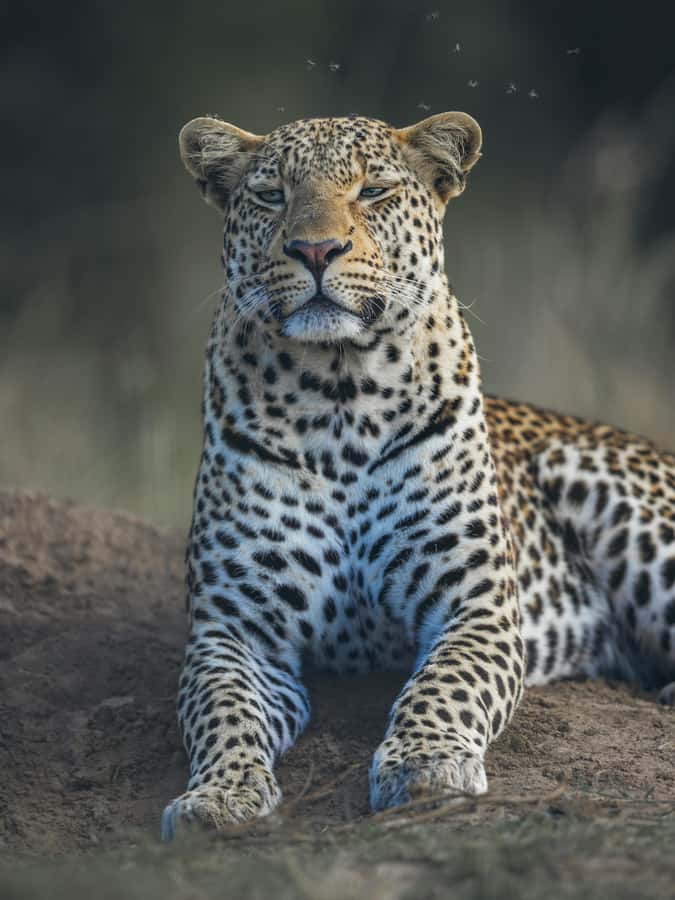 sunset safari big 5 Game reserve Group Tour - Worcester marks the change of scenery