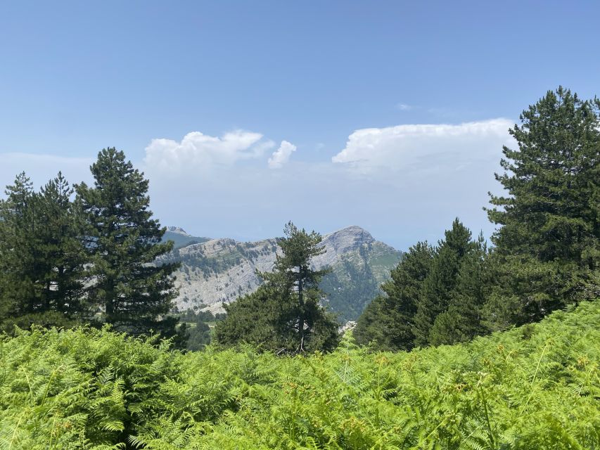 Sunset Safari in Thassos with free refill prosecco & fruits - Key points at a glance