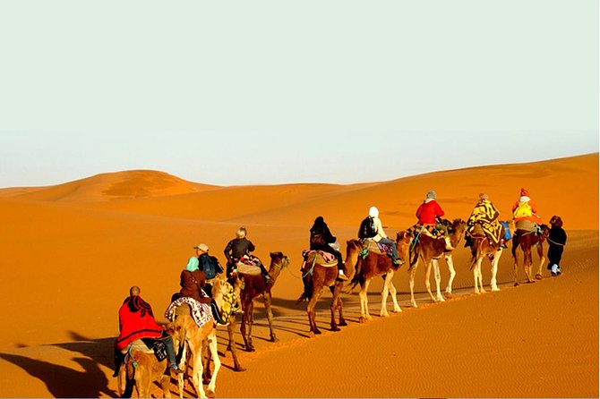 Sunset Safari With Dinner - Leaving Jaisalmer at 3 pm