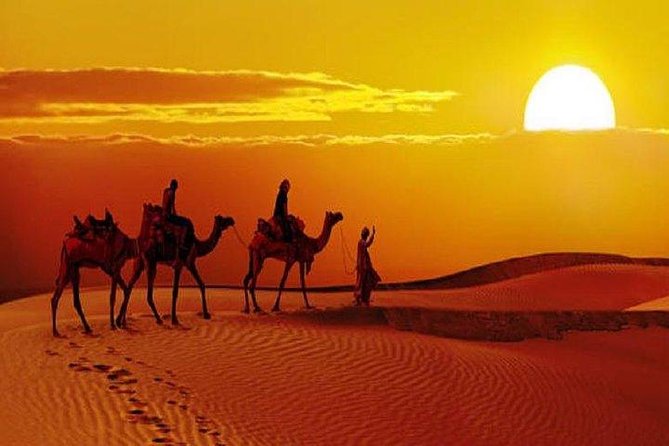 Sunset Safari With Dinner - A fresh bonfire dinner with a local touch
