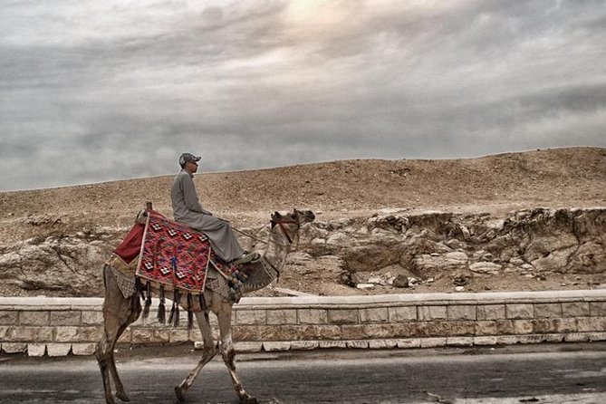 Super Safari ATV, Drive Buggy Car, Camel Ride, Bedouin Dinner, Show-Hurghada - Camel ride: a tiny taste, not a long trek