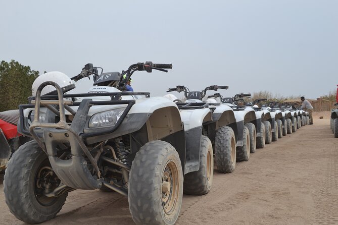 Super Safari ATV, Drive Buggy Car, Camel Ride, Bedouin Dinner, Show-Hurghada - Tea, desert remedies, and a brief look at village life