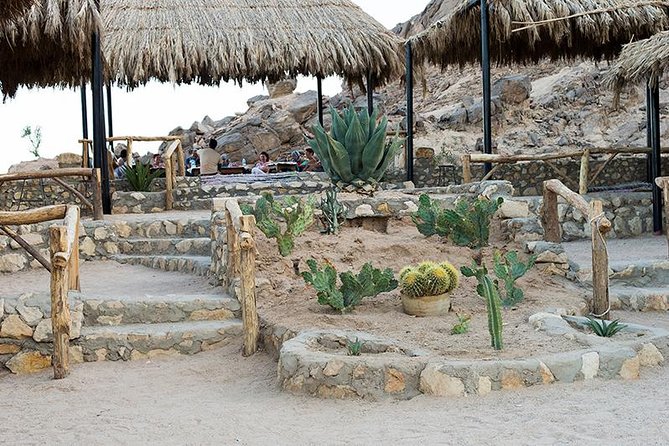 Super Safari, ATV & Sunset, Camel Ride With Dinner - Marsa Alam - A short look at Bedouin village life