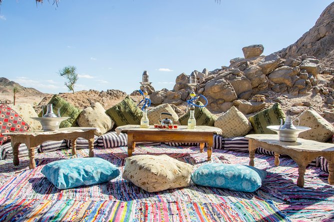 Super Safari, ATV & Sunset, Camel Ride With Dinner - Marsa Alam - What the seven-hour schedule means