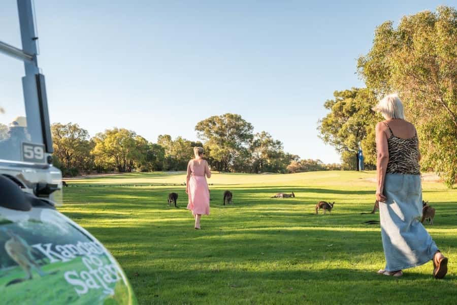 Swan Valley: Golf Cart Kangaroo Safari w/ Mini Golf & Drink - Why the golf cart makes a difference