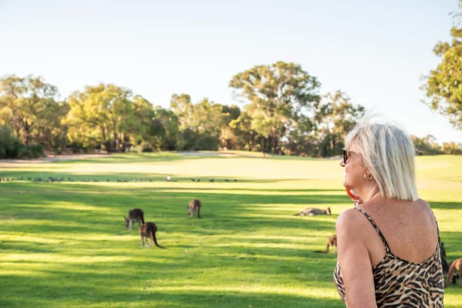 Swan Valley: Golf Cart Kangaroo Safari w/ Mini Golf & Drink - Practical details before you book
