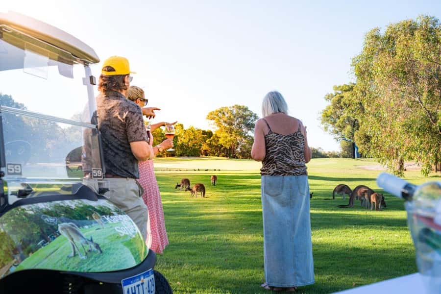 Swan Valley: Golf Cart Kangaroo Safari w/ Mini Golf & Drink - What happens during the one-hour outing