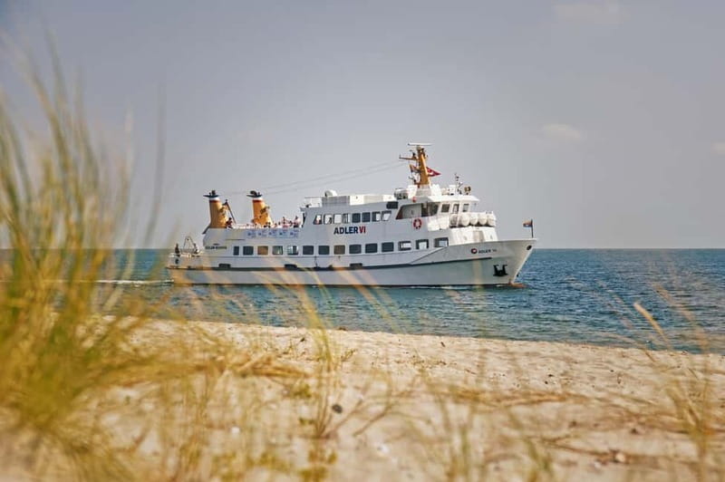 Sylt: Shell safari with boat | incl. Mussel tasting & 1 glass of wine - What you learn about Sylt mussel farming