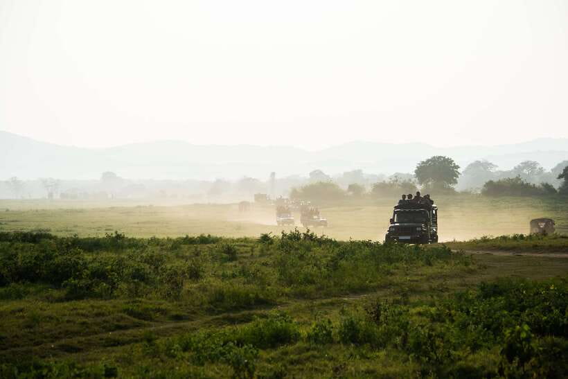Tangalle/Hiriketiya: Yala National Park Safari in a 4x4 - At the entrance, keep 13,000 rupees ready