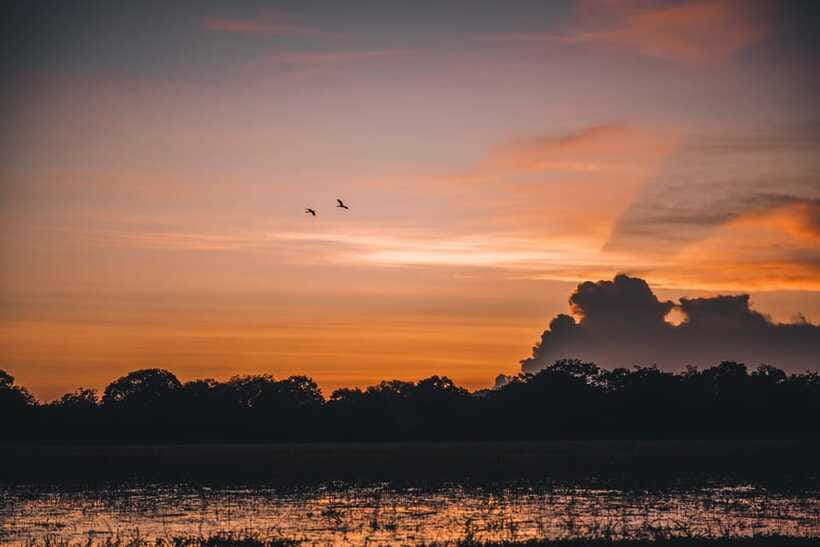 Tangalle/Hiriketiya: Yala National Park Safari in a 4x4 - A guide can make or break the day
