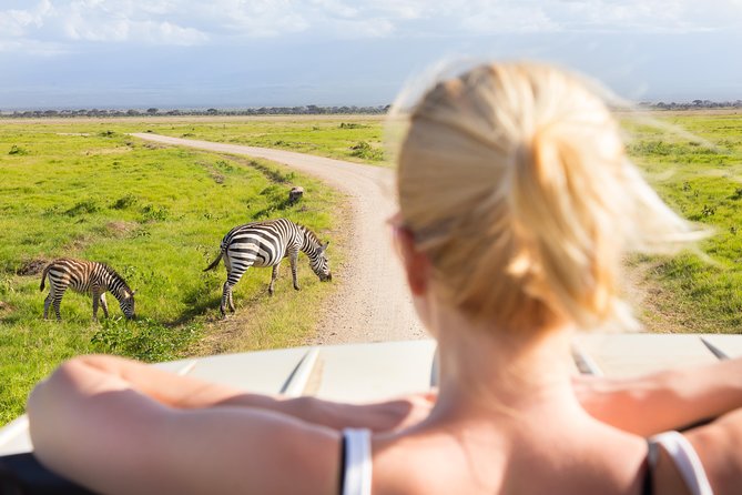 Tanzania Simba Safari - 5 Days - Why the private vehicle matters