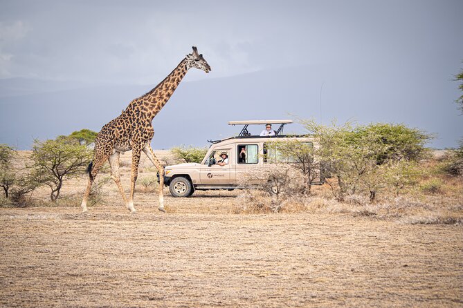 Tanzania Simba Safari - 5 Days - Day 2: The long road to Serengeti National Park