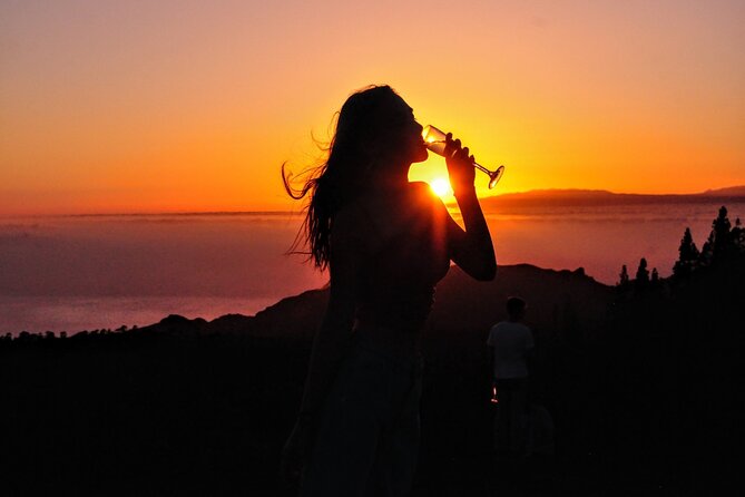 Teide National Park Sunset & Stargazing with Dinner (Star Safari) - Telescopes, lasers, and the night sky