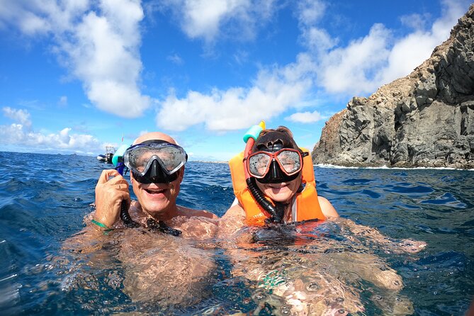 Tenerife: Kayak and snorkel with marine life safari - Along the cliffs toward Pal Mar Cave